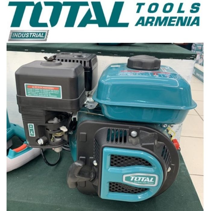 Бензиновый двигатель 6.5 л.с. (TGEN16821)