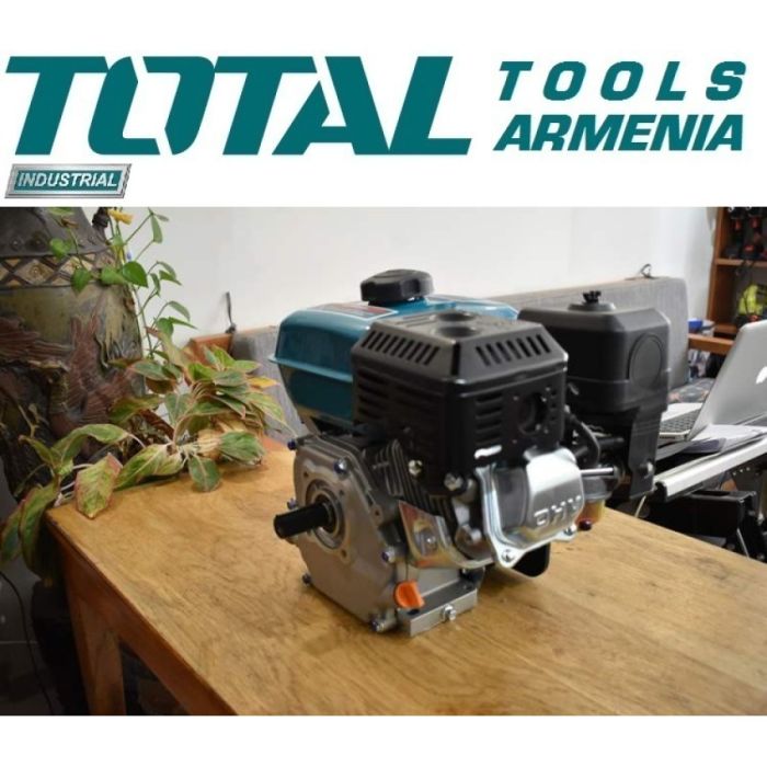 Бензиновый двигатель 13 л.с. (TGEN1881)